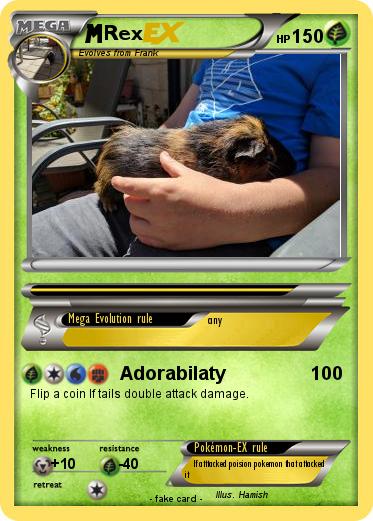 Pokemon Rex