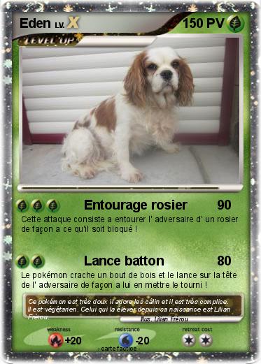 Pokemon Eden