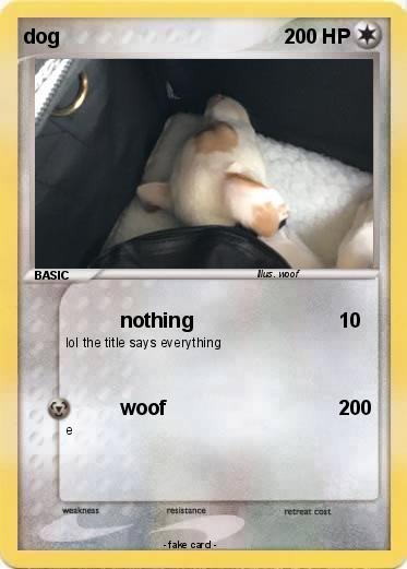 Pokemon dog