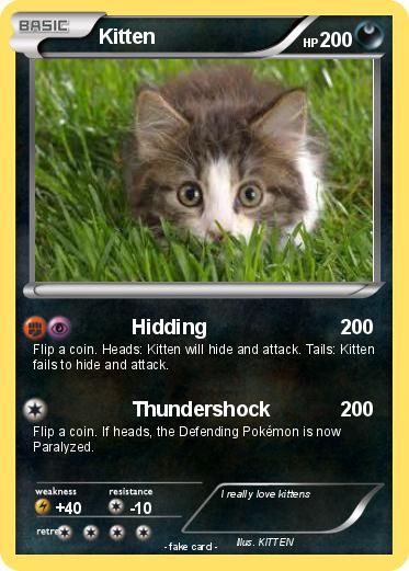 Pokemon Kitten