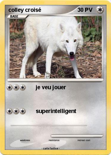 Pokemon colley croisé