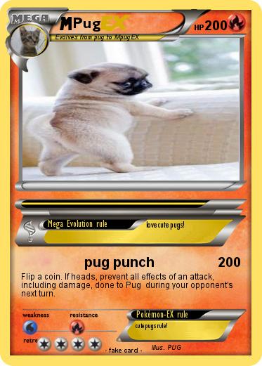 Pokemon Pug