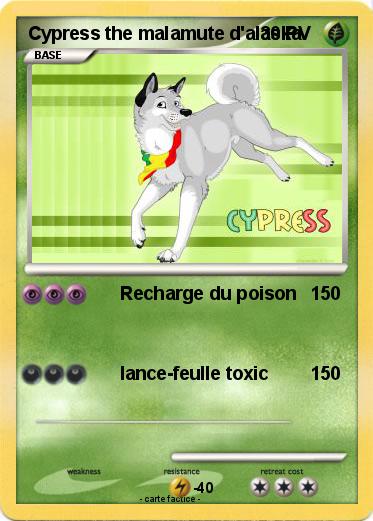 Pokemon Cypress the malamute d'alaska