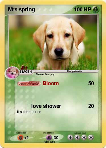 Pokemon Mrs spring