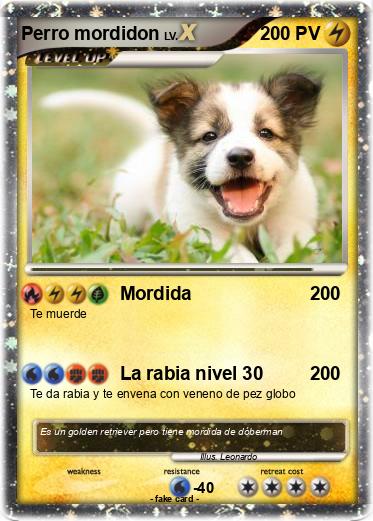Pokemon Perro mordidon