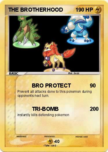 Pokemon THE BROTHERHOOD