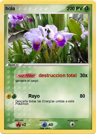 Pokemon hola