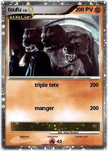 Pokemon toufu