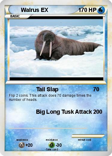 Pokemon Walrus EX
