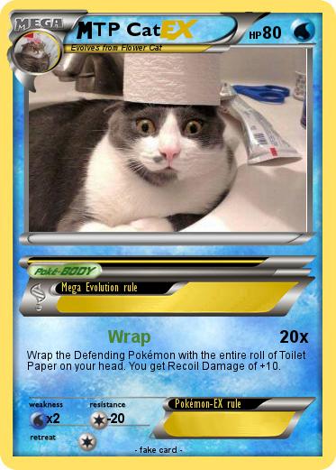Pokemon TP Cat