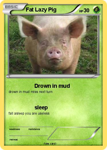Pokemon Fat Lazy Pig