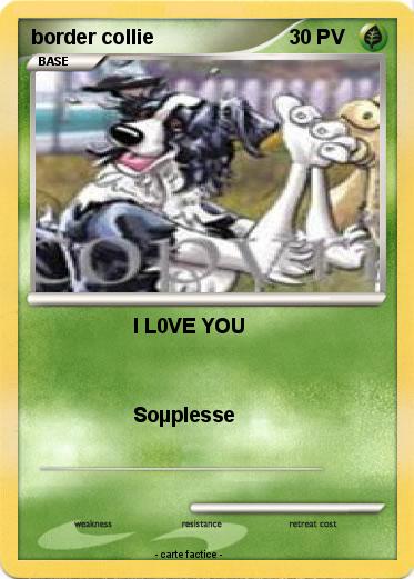 Pokemon border collie