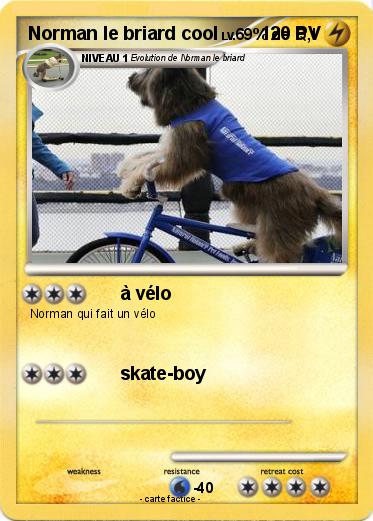 Pokemon Norman le briard cool