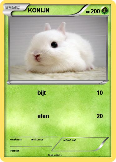 Pokemon KONIJN