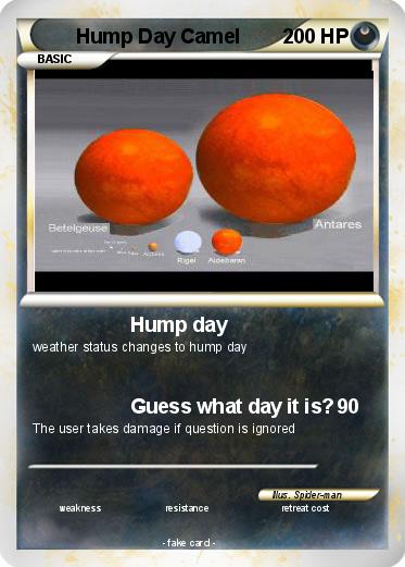 Pokemon Hump Day Camel