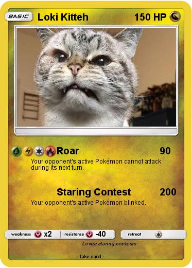 Pokemon Loki Kitteh