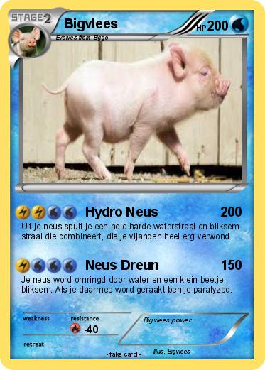 Pokemon Bigvlees