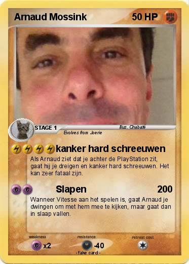 Pokemon Arnaud Mossink