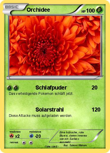 Pokemon Orchidee