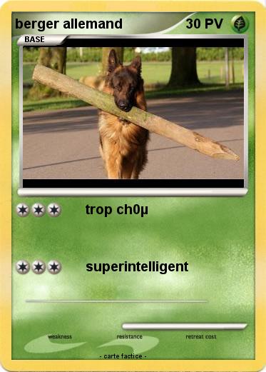 Pokemon berger allemand
