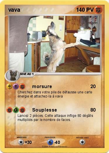 Pokemon vava