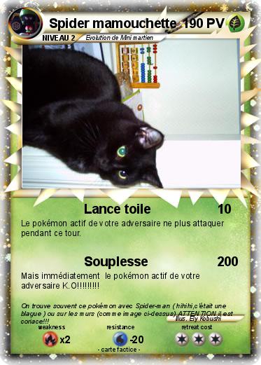 Pokemon Spider mamouchette