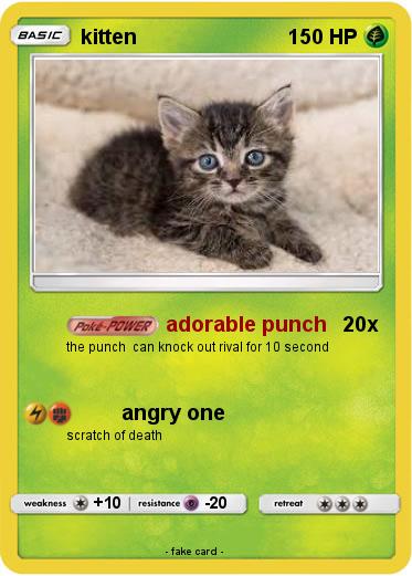 Pokemon kitten