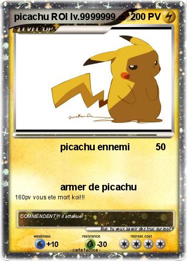 Pokemon picachu ROI lv.9999999