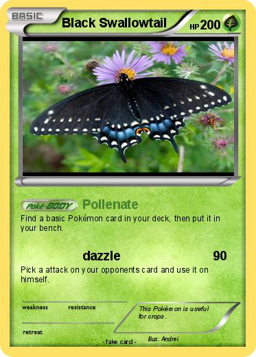 Pokemon Black Swallowtail