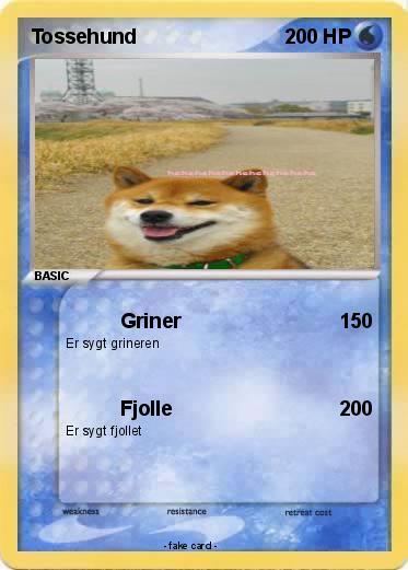 Pokemon Tossehund