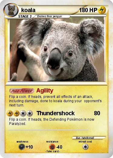Pokemon koala