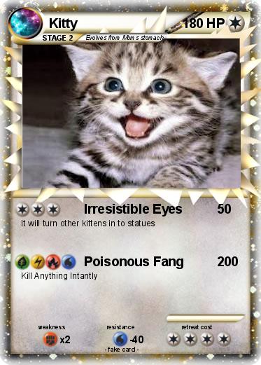 Pokemon Kitty