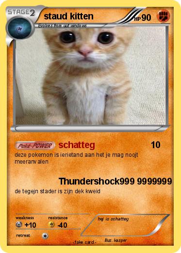 Pokemon staud kitten