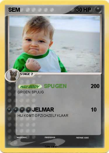 Pokemon SEM