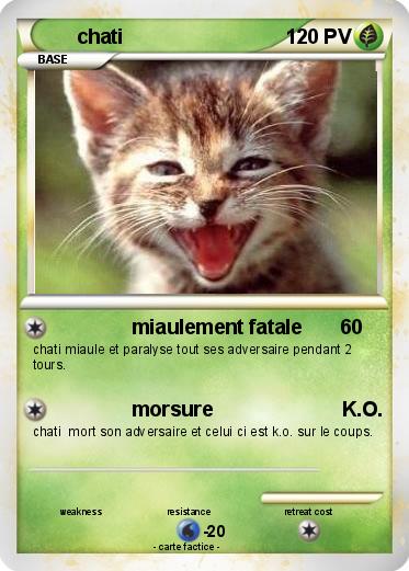 Pokemon chati