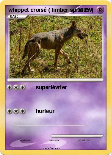 Pokemon whippet croisé ( timber sprinter )