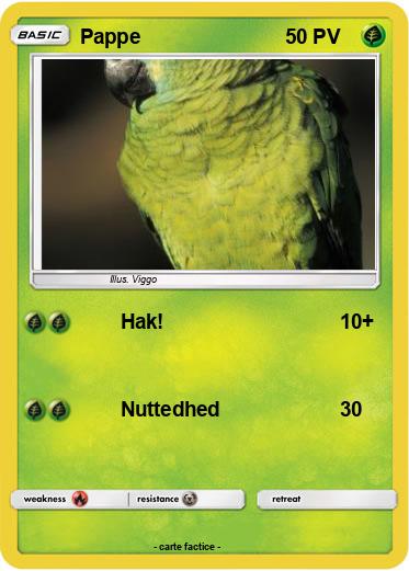 Pokemon Pappe