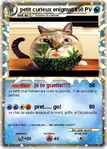 Pokemon petit curieux enigmatic
