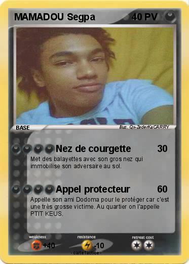 Pokemon MAMADOU Segpa