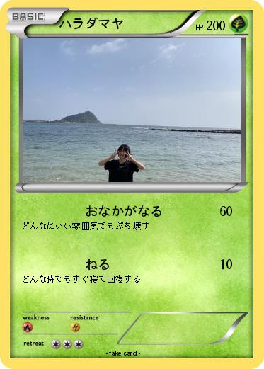 Pokemon ハラダマヤ