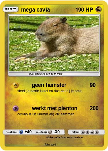 Pokemon mega cavia