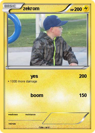 Pokemon zekrom