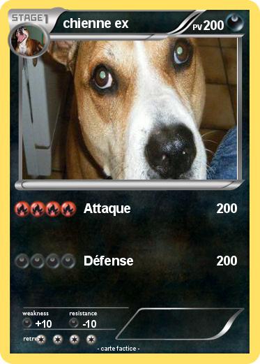 Pokemon chienne ex
