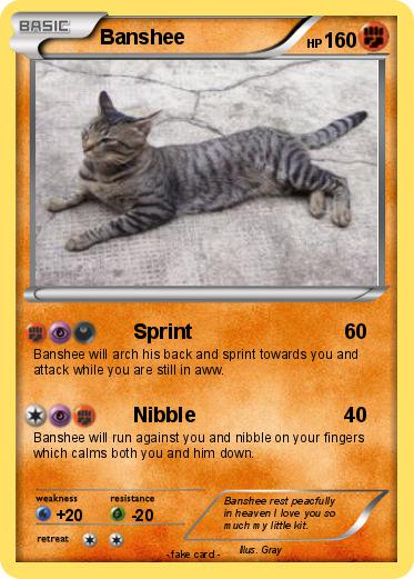 Pokemon Banshee