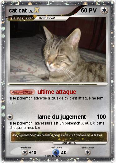 Pokemon cat cat