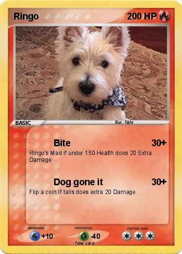 Pokemon Ringo