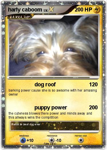 Pokemon harly caboom