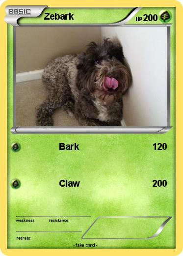 Pokemon Zebark