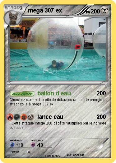 Pokemon mega 307 ex