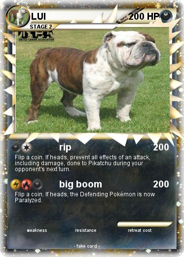 Pokemon LUI